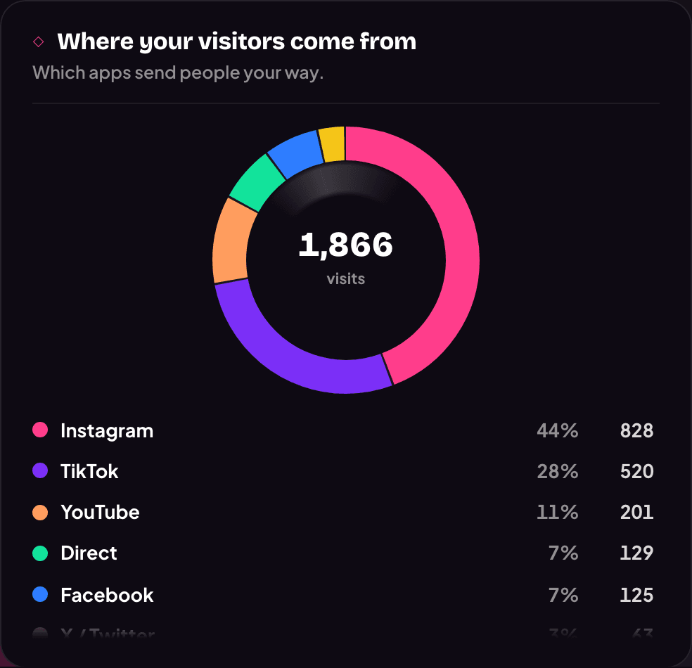 The real sources donut — Instagram 44%, TikTok 28%, YouTube 11% of 1,866 visits